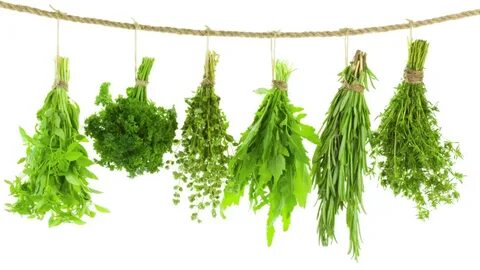 تصویر 4 از قیمت خرید سبزی خشک قلیه ماهی جعبه ای بالسی + فروش صادراتی